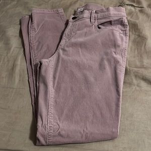 Lilac Cords